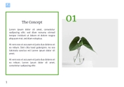 Free booklet young brand template