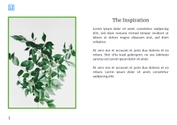 Free booklet young brand template