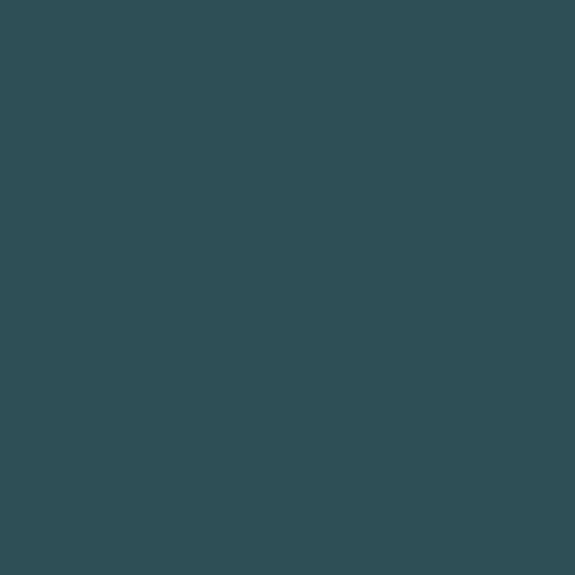 Free carousel brand template