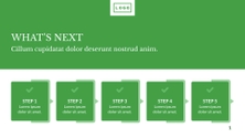 Free presentation annual report template