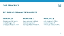 Free presentation corporate template