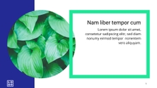 Free presentation nature template