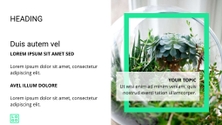 Free presentation nature template