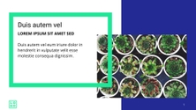 Free presentation nature template