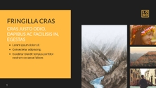 Free presentation trip template