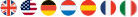 Multi-language Support